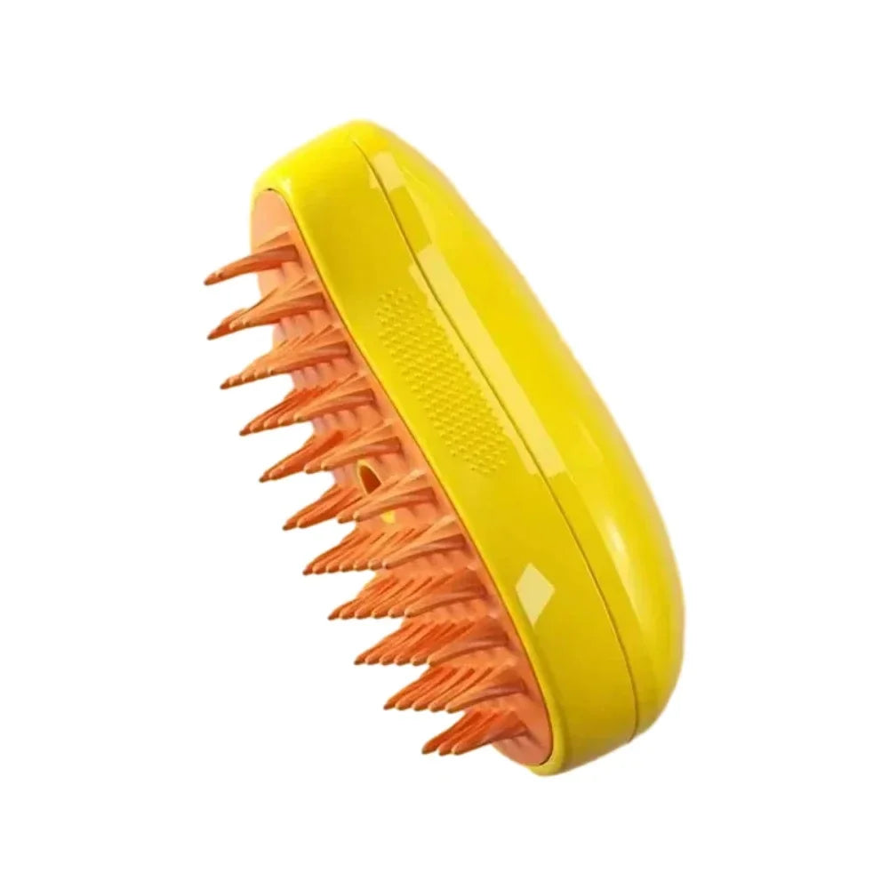 Rechargeable Steam Brush