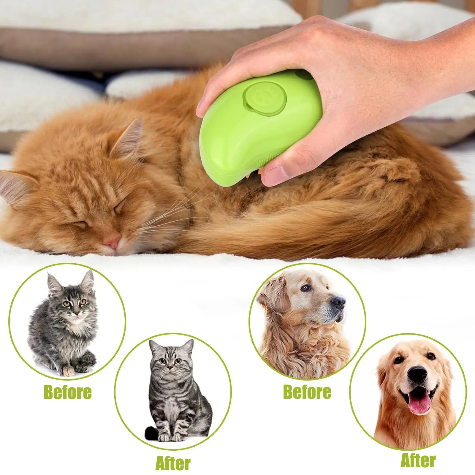 Rechargeable Steam Brush