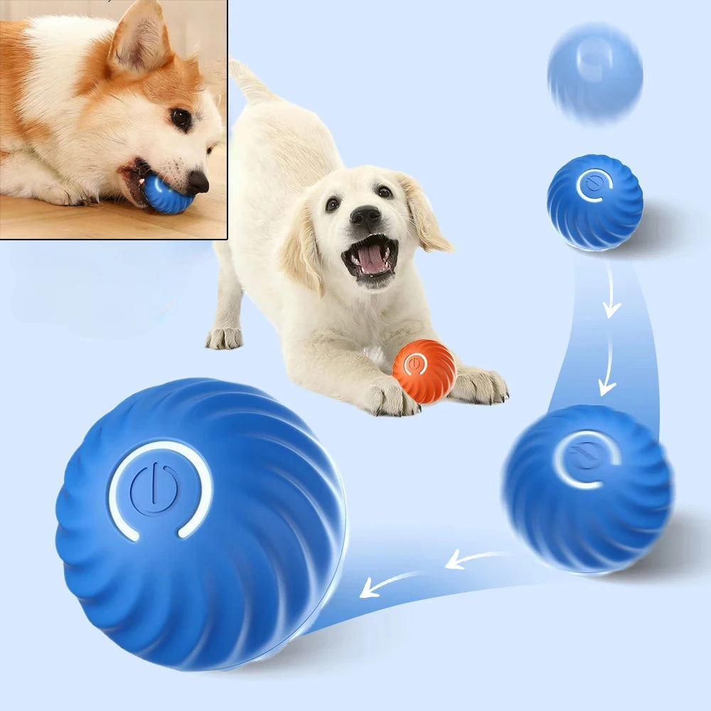 Automatic Moving Bouncing Rolling Ball USB
