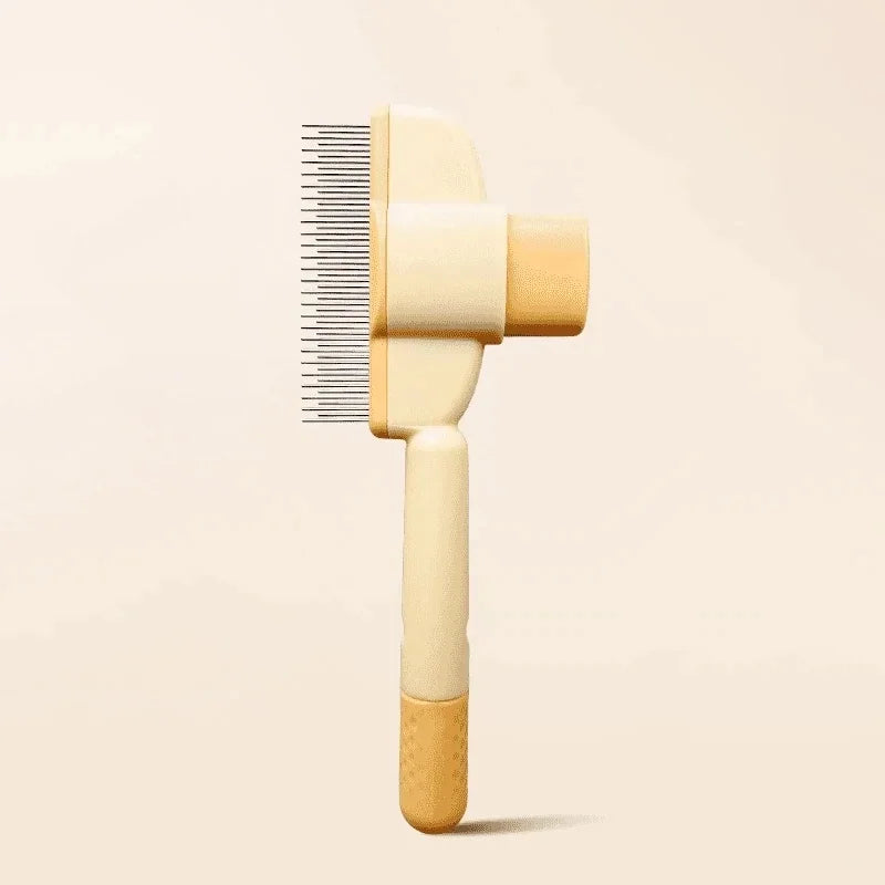 Rechargeable Steam Brush