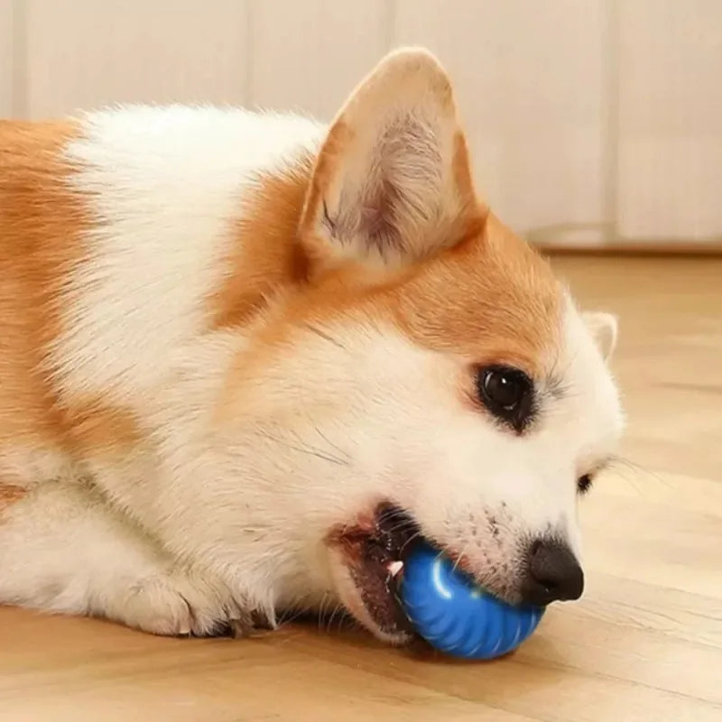 Automatic Moving Bouncing Rolling Ball USB
