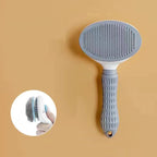 Hair Brush