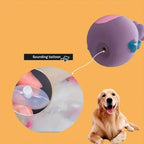 Soft Rubber Squeaky Chewy Toys