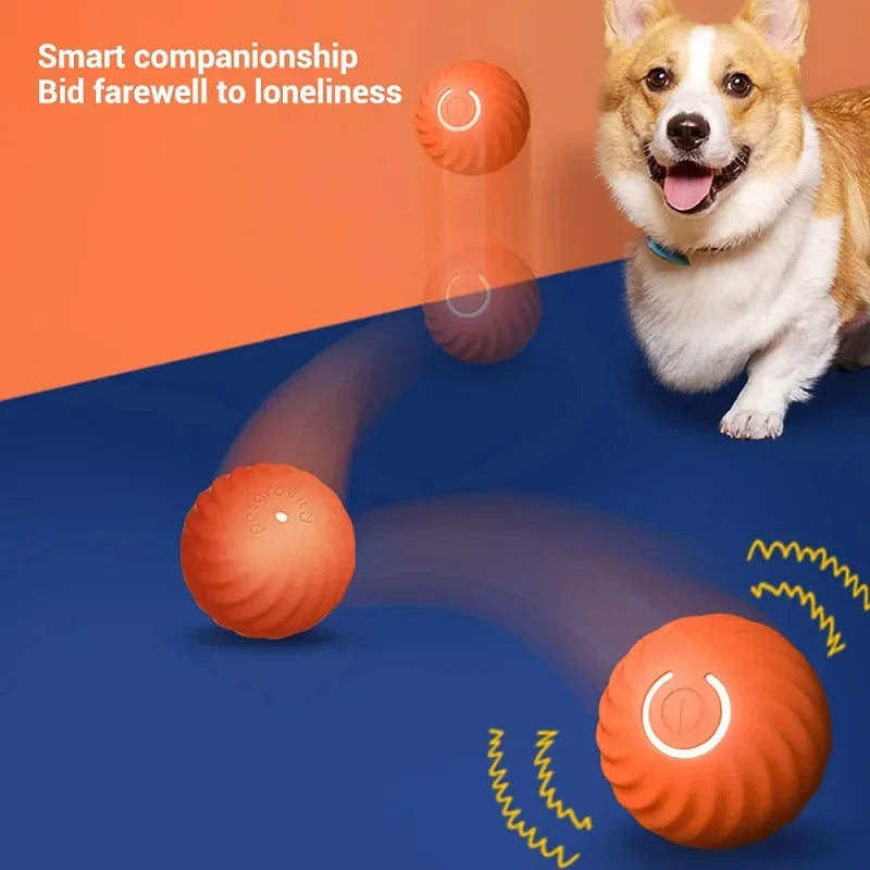 Automatic Moving Bouncing Rolling Ball USB