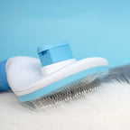 Hair Brush