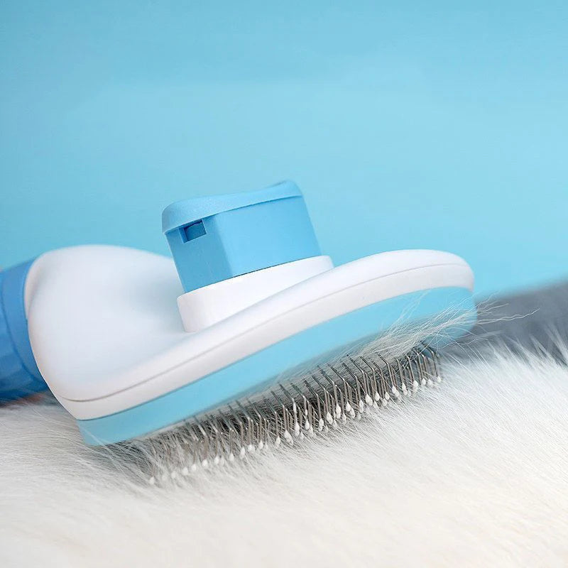 Hair Brush
