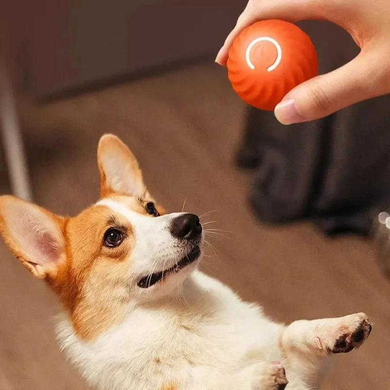 Automatic Moving Bouncing Rolling Ball USB