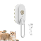 Rechargeable Steam Brush