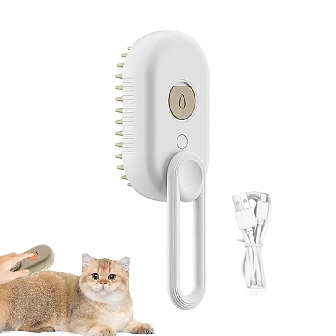 Rechargeable Steam Brush